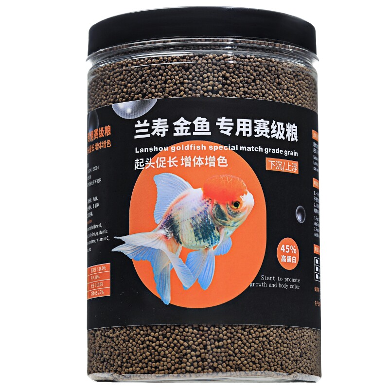兰寿金鱼上浮下沉高蛋白增体发色