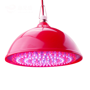 12V48V60V夜市摆摊led生鲜灯电瓶电动三轮车专用地摊水果卤菜熟食