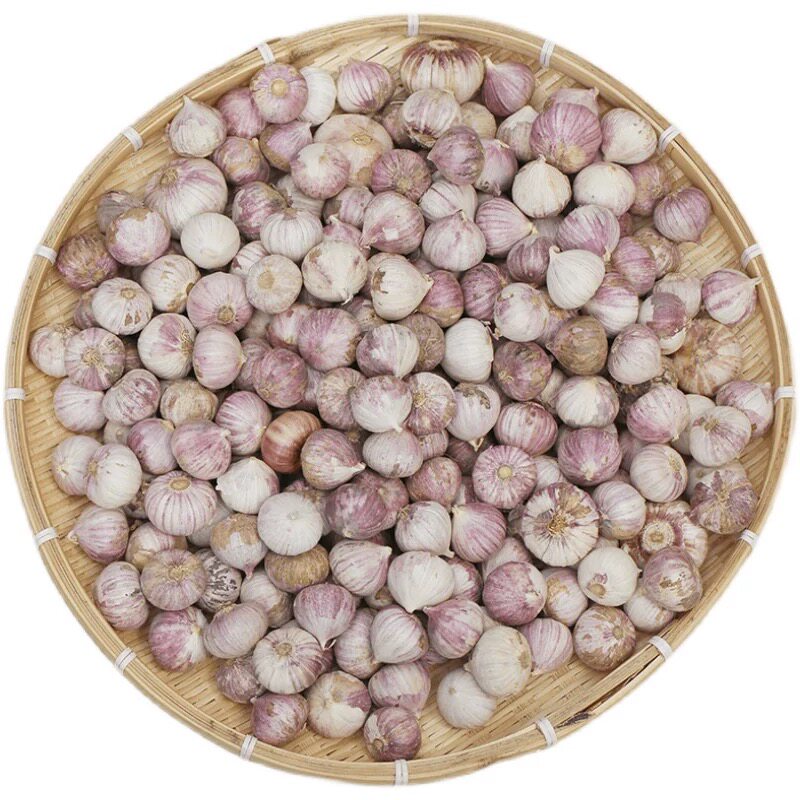 2026年紫皮独头蒜晒干独头蒜大蒜红皮蒜当季新大蒜整箱蔬菜独蒜头