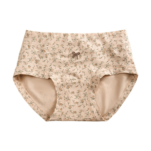 都市丽人内裤女士纯棉a类抗菌全棉加长裆全包臀大码女生三角裤