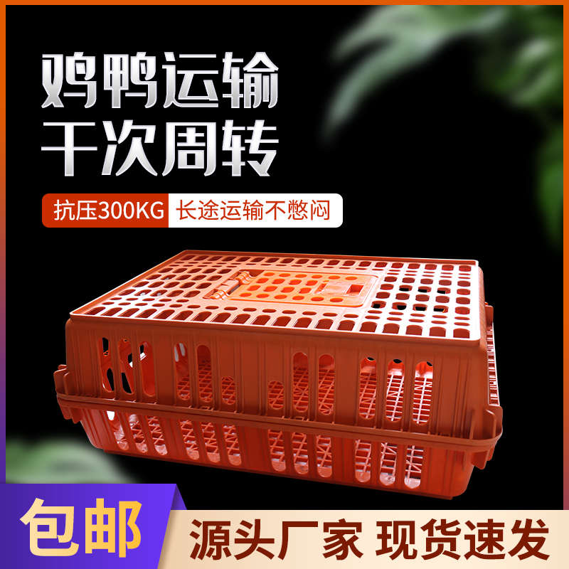 鸡笼周转箱鸡笼子运输笼周转家用养鸡笼养殖笼鸡笼塑料笼鸡筐方便