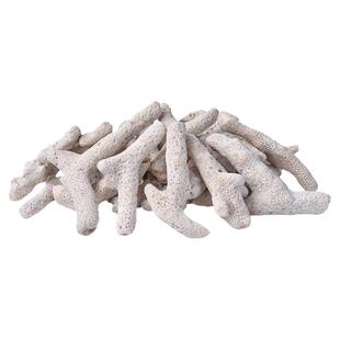 海缸造景珊瑚骨菲律宾沙子天然鱼缸底砂过滤材料净化水质珊瑚枝