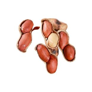 农家柴火铁锅现炒花生原味小籽熟花生带壳年货云祥国民袋装原香