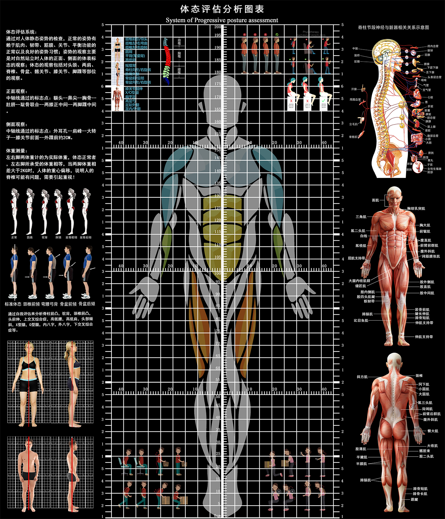 体态评估表墙纸贴式体测健身房瑜伽馆私教身体形姿矫正网格对比图