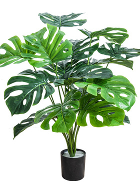 北欧仿真绿植仿生植物小盆栽客厅