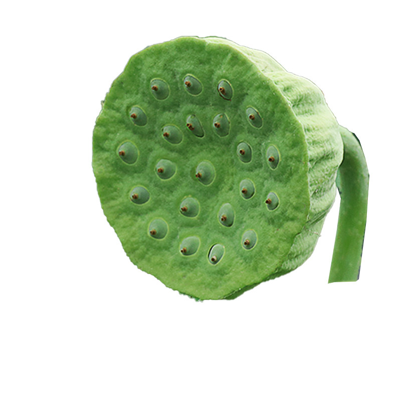余胖子洪湖莲蓬新鲜生吃水果孕妇
