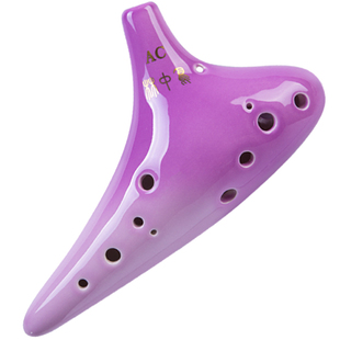 林中鸟紫酱考级陶笛12孔AC初学者送教材十二孔中音C专业演奏乐器