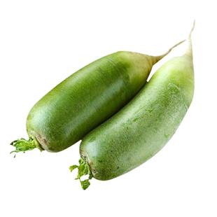 沙地青萝卜新鲜批发5/10斤河南特产可生吃水果萝卜蔬菜青头萝卜脆