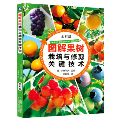 图解果树栽培与修剪关键技术 果树施肥浇水一体化技术书籍 果园柑橘葡萄苹果蓝莓樱桃梨树种植栽培技术书籍病虫害防治实用正版书籍