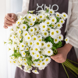 饰花绢花艺摆件 小雏菊仿真花假花干花花束摆设拍照道具家居客厅装