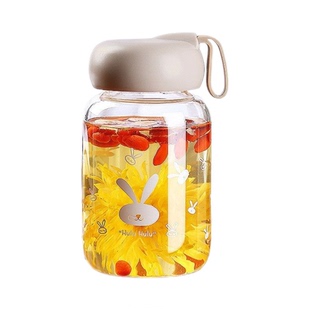 耐热高硼硅玻璃杯女生高颜值可爱透明玻璃水杯女款小号便携泡茶杯