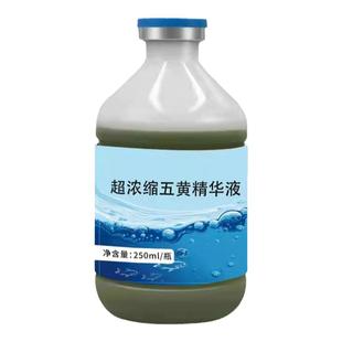 五黄精华液水产养殖专用鱼药保肝护胆清热解毒肠炎烂腮增强免疫力