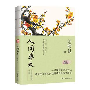人间草木 汪曾祺 裸脊锁线 彩插珍藏版 人间系列 文学家生活家汪曾祺的草木情怀诗意人生 汪曾祺散文作品集现当代文学散文随笔正版