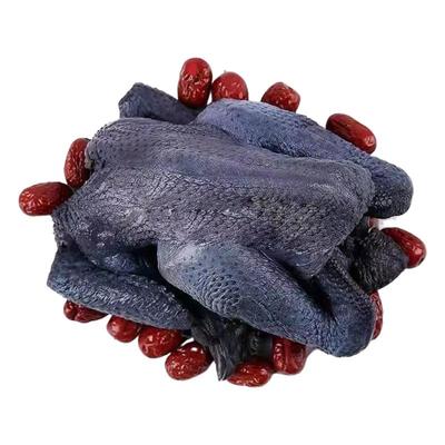 散养白凤乌鸡新鲜鸡肉活鸡