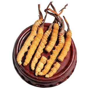 正品西藏断草那曲冬虫夏草大断草50-100克过节送礼自吃礼盒泡酒料