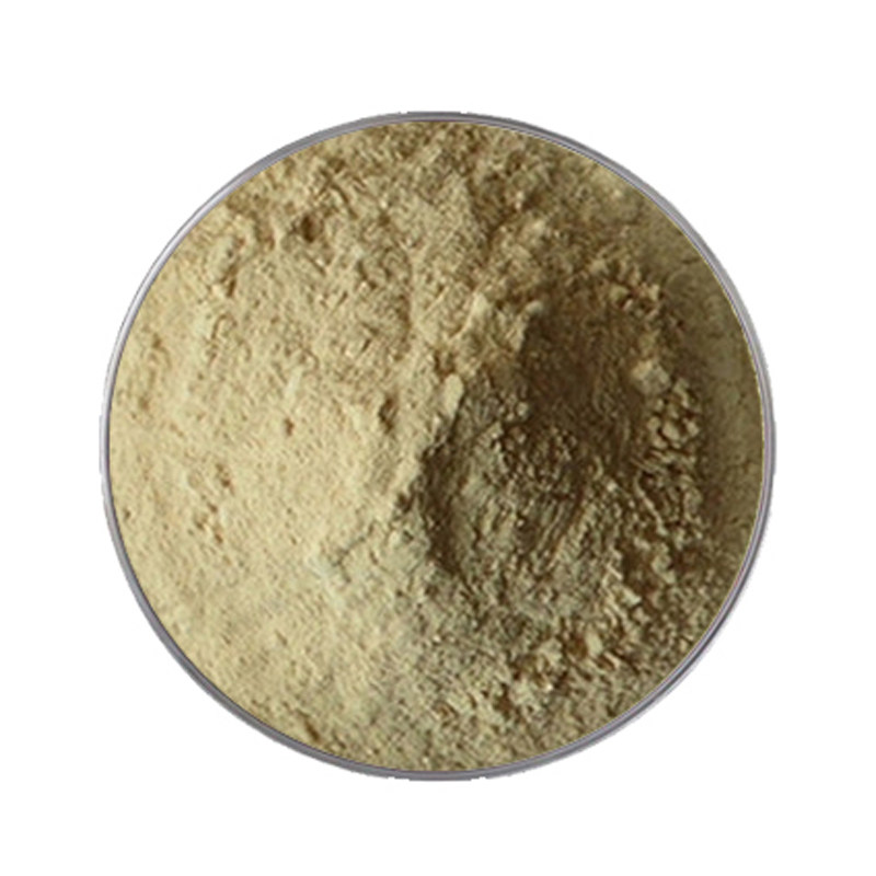三七总皂甙80%皂苷皂甙天然田七叶三七叶提取物精华粉现货袋装