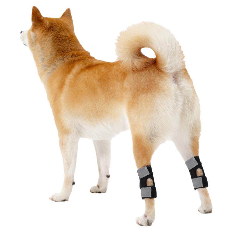 狗狗护膝腿套后腿辅助支撑老年犬