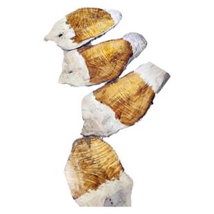 四川金丝楠木料原木水波纹满金丝实木大板钢笔烟斗手球镇尺弹弓料