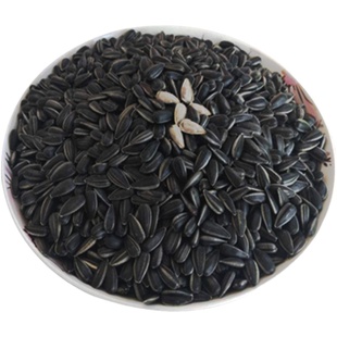油葵生瓜子黑珍珠小瓜子优质新货现炒熟原味奶油薄盐小颗粒葵花籽