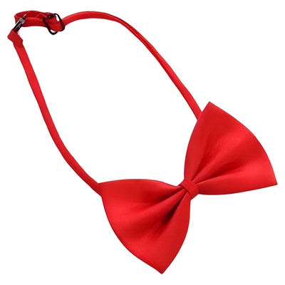 大合唱演出男士红领结学生成人舞台表演蝴蝶结黑色领花煲呔bowtie