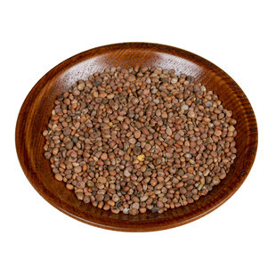 中药材炒莱菔子炒熟的莱菔籽500g非野生萝卜籽子来菔子生莱菔子茶