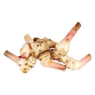 新鲜白皮南姜山姜泰式冬阴功香料调汤料东荫功食材高良姜5份包邮