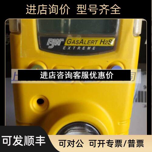 议价H2S便携式硫化氢检测仪GAXTHDL旗下牌BW