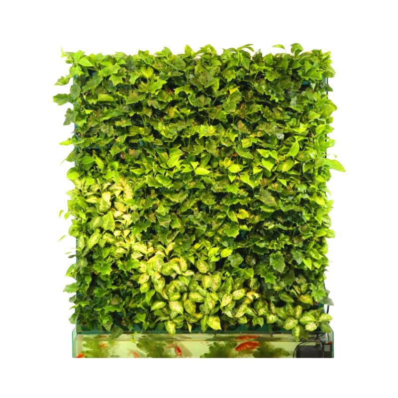 植物墙垂直绿化真植物花槽绿植墙