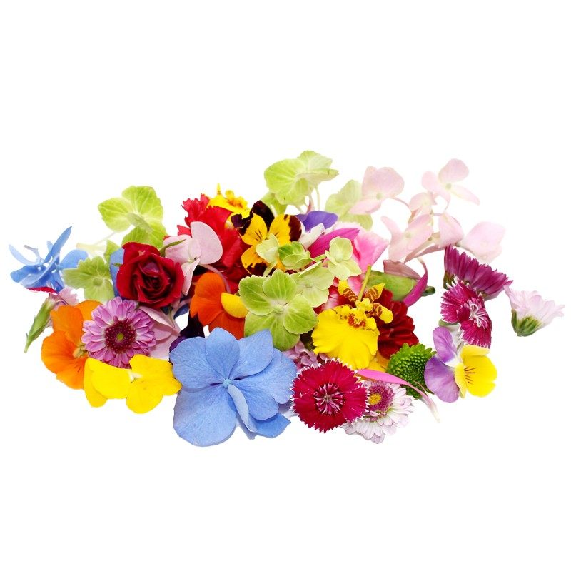 新鲜薄荷叶清香木蛋糕装饰三色堇千叶兰芽苗西餐摆盘花草点缀合集