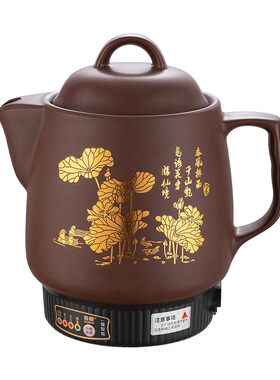 【药店同款】电煎药壶全自动熬好