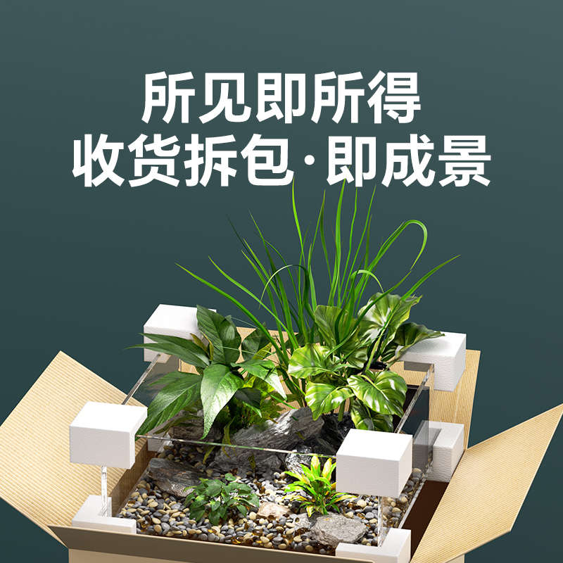 小鱼缸客厅小型2024新款生态微景观玻璃溪流缸造景全套超白桌面缸