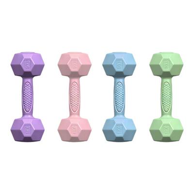 哑铃女士健身家用器材2kg一对举重小杠铃3公斤哑铃青少年运动器材