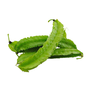 四棱豆种子苗豆角四角皇帝豆种籽孑四季蔬菜菜籽龙豆高产菜种菜苗