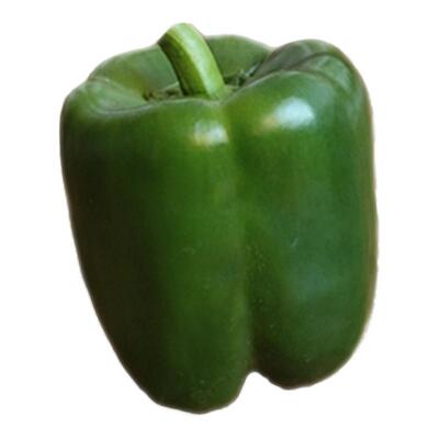 自家种植甜椒蔬菜现摘太空产地