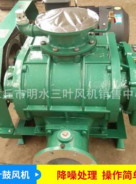 厂家配套高压SWR50型号罗茨鼓风机水处理风机噪音低三叶罗茨风机