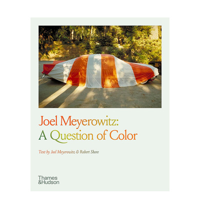 【现货】乔尔·迈耶罗维茨：色彩问题 Joel Meyerowitz: A Question of Color 原版英文摄影 善本图书