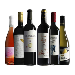 【超值组合】精选6大名庄 银色高地/志辉源石/贺兰红/6支装葡萄酒