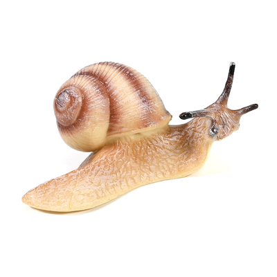 出口品质蜗牛实心无异味模型