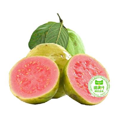 胡鲜森福建红心芭乐番石榴