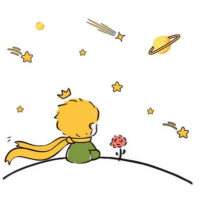 小王子玫瑰创意卧室墙贴玻璃窗花