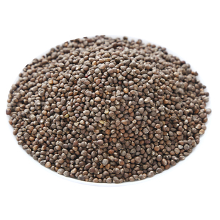 紫苏籽500g正品紫苏子食用炒熟紫苏籽粉中药材紫苏粉烧烤调料撒料