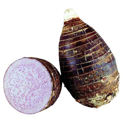 正宗荔浦芋头广西桂林时令蔬菜