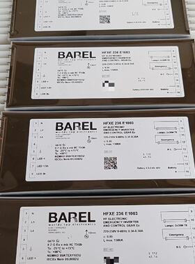 配件二手拆机挪威BAREL AS镇流器HFXE236 E1003议价
