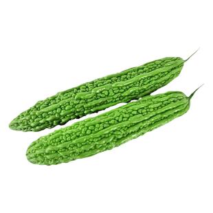 美国高产绿隆苦瓜种子种籽 抗病四季孑寿光蔬菜博览会500克本地