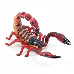 仿真蝎子模型昆虫动物玩具非洲帝王蝎子套装儿童认知科教礼物摆件