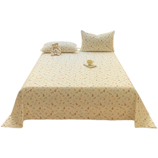 A类卡通双层纱床单单件儿童家用被单人学生宿舍三件套非全棉纯棉3