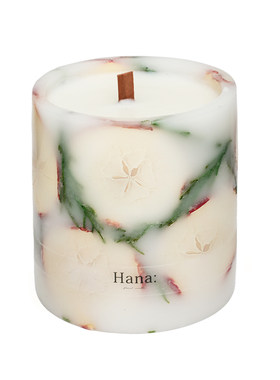 hana650g苹果香薰蜡烛家用礼物