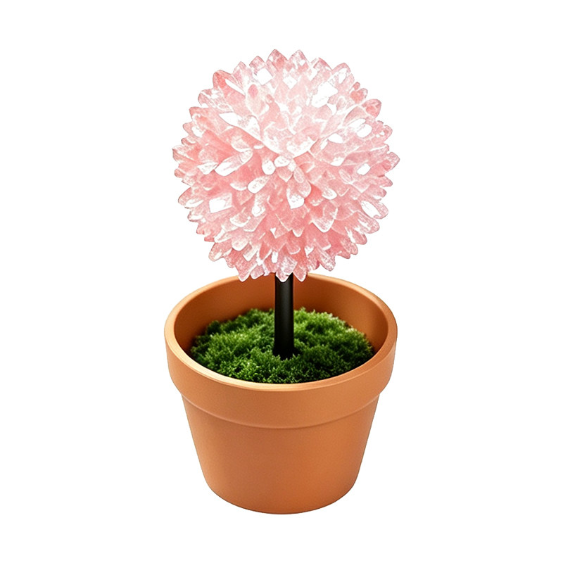 魔法水晶花种植实验套装diy材料