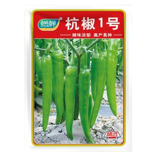 杭椒1号辣椒种子辣味高产蔬菜种籽四季春季夏秋冬播种2号7禾之元
