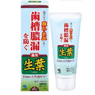 日本小林生叶牙膏 天然草本成分改善牙龈出血 温和型护龈牙膏100g